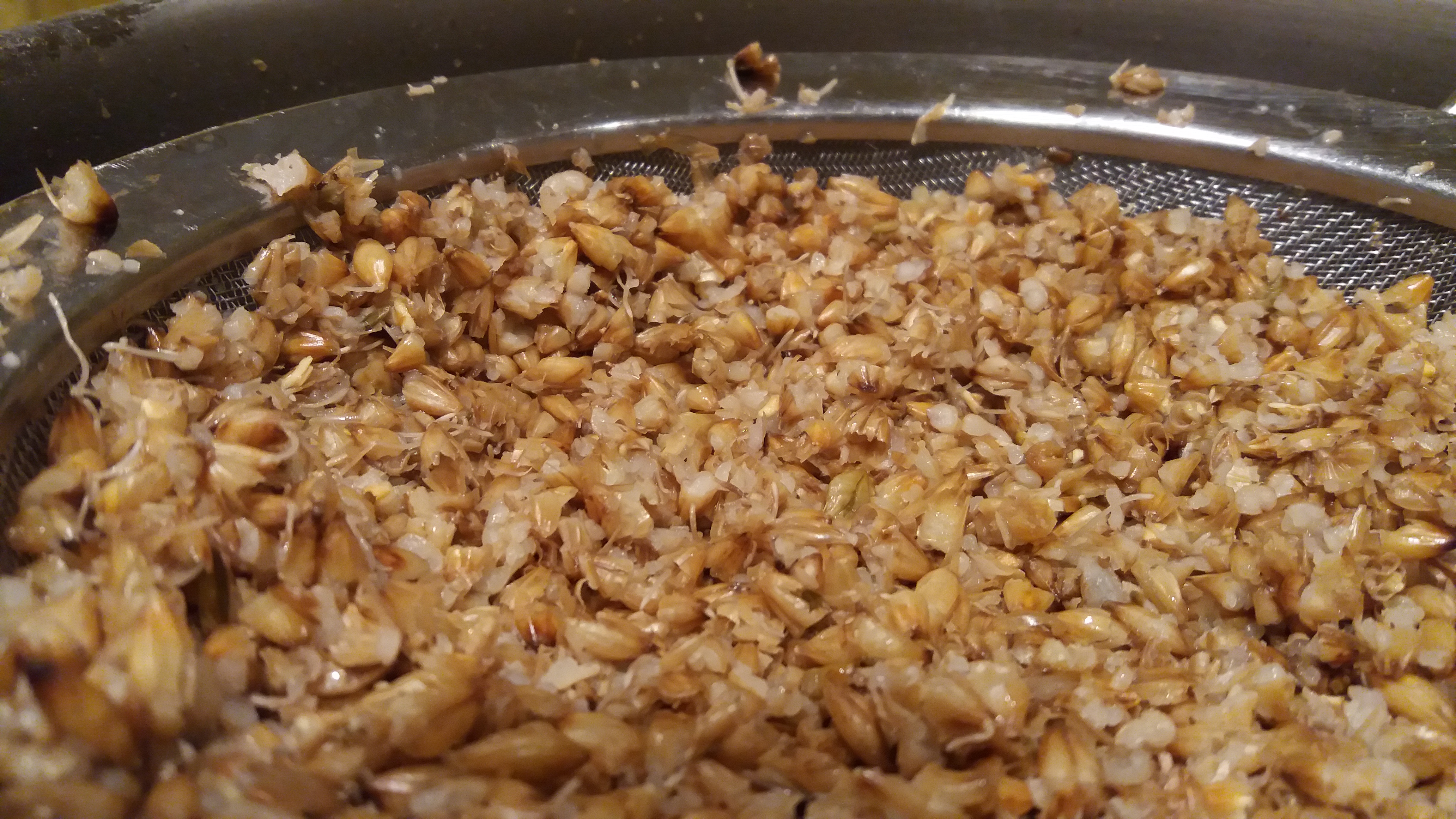 Barley residue on sieve after filtration