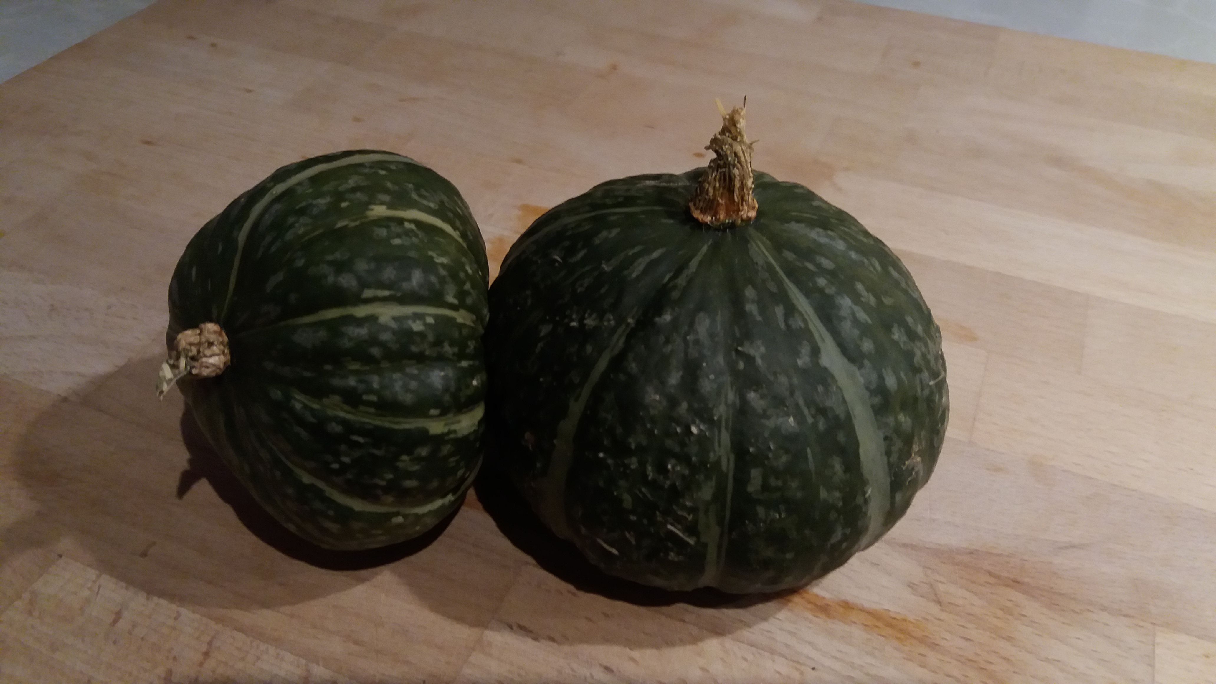 Japanese Chestnut Pumpkin